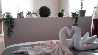 Orangerie du Château Marith - Domaine avec Piscine - 1