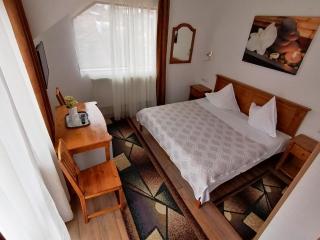 Casa Magica Busteni - Buşteni - 7