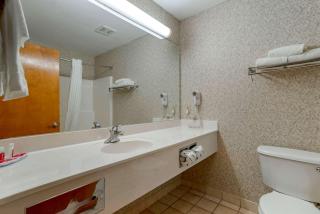Econo Lodge Inn & Suites - Flowood - 8