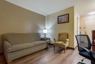 Econo Lodge Inn & Suites - Flowood - 4