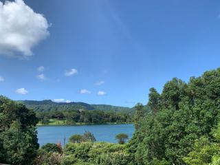 Stone House - Sete Cidades - Sete Cidades - 5