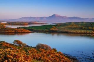 Family-Near Airport-Sleeps 7-Bbq-Parking-Pet - 2