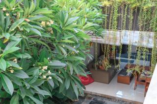 Alia Home - Sanur - 1