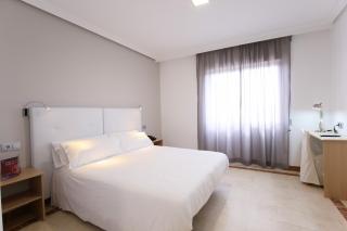 Hospedium Hotel Castilla - Torrijos - 6