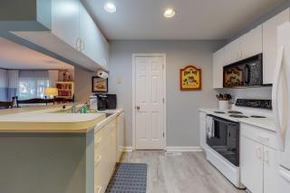 Sea Colony- 54010 Sand Dollar - 8