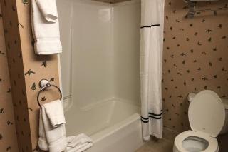 Kestrels - Jeffersonville - 1