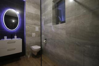 LIANE BOUTIQUE HOTEL - Câmpulung Moldovenesc - 3