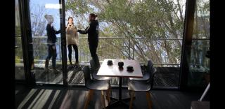 Diana Alpine Lodge - Falls Creek - 3