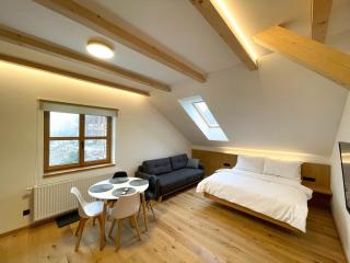 Apartmány Hacienda Boží Dar - Boží Dar - 7
