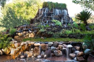 Finca Mexicana - 9