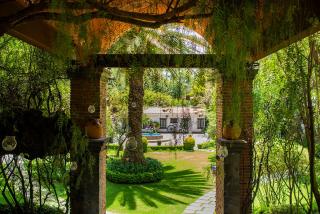 Finca Mexicana - 7