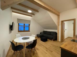Apartmány Hacienda Boží Dar - Boží Dar - 3
