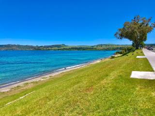 Tui Oaks Motel - Taupo - 1