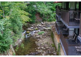 Bear Creek Inn Gatlinburg, TN - Gatlinburg - 6