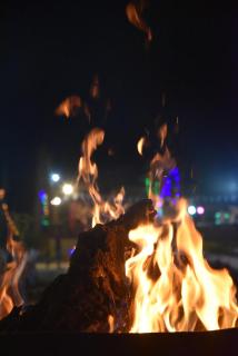 Pushkar Adventure Desert Camp - 6