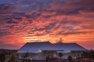 Pushkar Adventure Desert Camp - 7