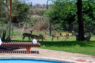 Machauka Lodge - Lephalale - 5