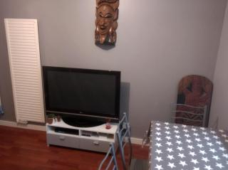 Logement entier, proche hyper centre, 2 étoiles SANS SPA - 2