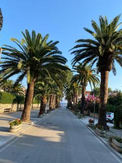 Dalmatino - apartment 6 - Sutivan - 1