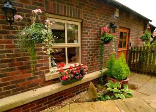Pine Tree Lodge, Bridgnorth - Bridgnorth - 7