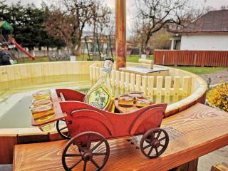 Pension Sf Nicolae - Aluniş - 5