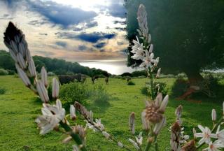 Charming house with sea and mountain views in El Chaparral - 2
