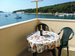 Sea View Apartment in Prvić Luka, 46m², Terrace - Prvić Luka - 9