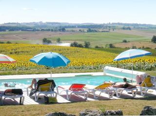 Chalet avec vue sur la montagne à Pauilhac + piscine partagée - Pauilhac - 4