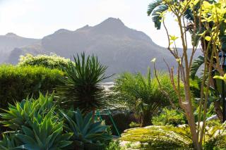 Cosy Apartment in San Cristóbal de La Laguna, 32 m², Pool. - La Laguna - 8