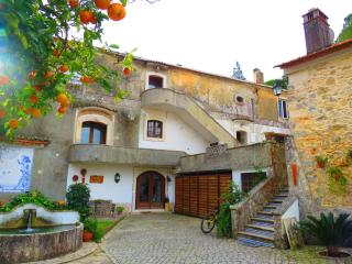 Charming House in Porto de Mós with Shared Pool. - Porto de Mós - 7