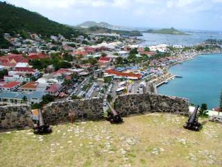Cozy apartment with garden in La Savane 75 m² mountain view - Happy Bay - 1