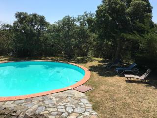 Appartement spacieux à Montauriol avec piscine partagée - Montauriol - 8