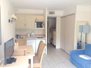 Studio accueillant à Saint-Laurent-du-Var, 25 m², piscine - Saint-Laurent-du-Var - 7