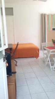 Studio cosy à Fort-de-France 22 m² avec jardin privé - Fort-de-France - 4