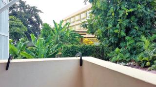 Studio cosy à Fort-de-France 22 m² avec jardin privé - Fort-de-France - 2