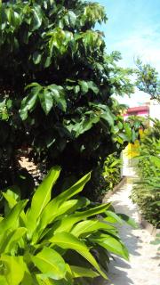 Appartement de charme à Port-Louis, 35 m², jardin privé - 2