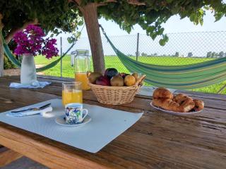 Charming House Deltebre + Pool - Deltebre - 8