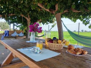 Charming House Deltebre + Pool - Deltebre - 2