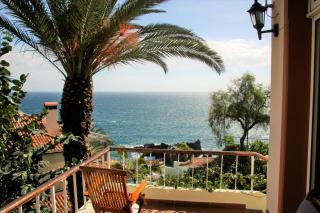 Comfortable bungalow in Funchal with sea view - Palmeira - 5
