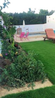 Charming House Montecote - Vejer de la Frontera - 5