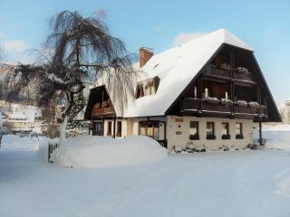 Ferienhaus im Park - Hinterzarten - 9
