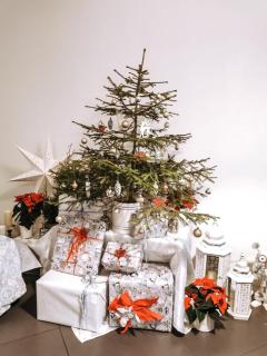 Garden View Home - 4