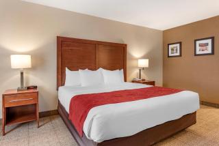 Comfort Inn & Suites - Morehead - 6