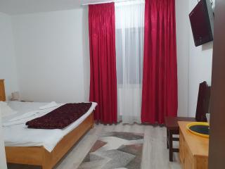 Pensiunea Ronicson - Miloştea - 2