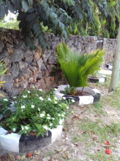 Lucky Sea Breeze Villa - Mombassa - 1