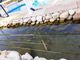 Pousada Canto dos Canários - Socorro - 5