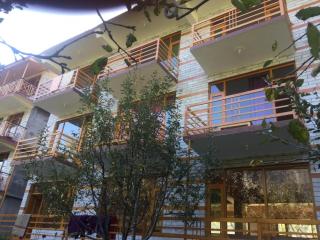 The Paradise, Old Manali - 4