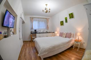 Transilvania Studio - Sibiu - 0
