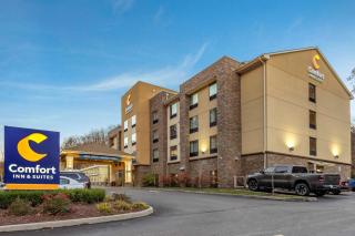 Comfort Inn & Suites Pittsburgh South - 9