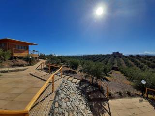 Le Parc des Oliviers Ecolodge - 9